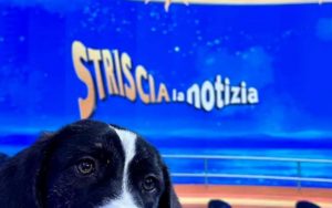 Striscia la Notizia - Fonte Instagram (striscialanotizia) - romagnawebtv.it