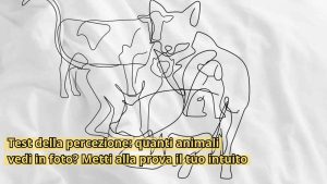 percezione test - mashup - RomagnaWebTv