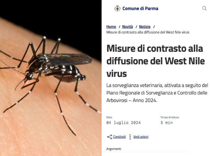 Comunicazione - mashup - romagnawebtv