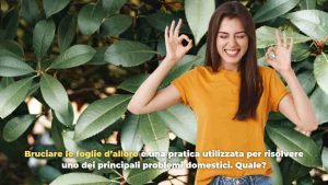 bruciare alloro - mashup -Romagnawebtv.it
